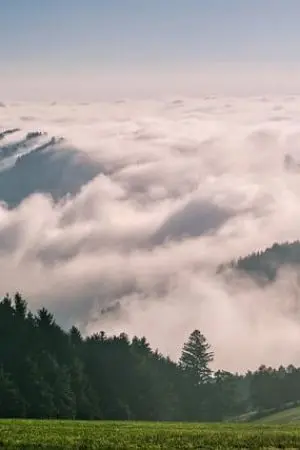 ปกนิยาย อุบัติรักจองจำหัวใจ