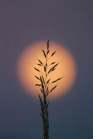 ปกนิยาย รักนี้ต้องไปต่อ