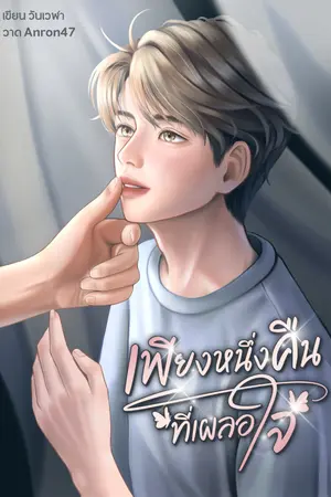 ปกนิยาย เพียงหนึ่งคืนที่เผลอใจ | Mpreg