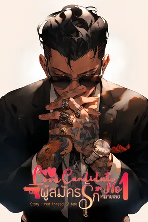 ปกนิยาย ผู้สมัครรักหมายเลข1