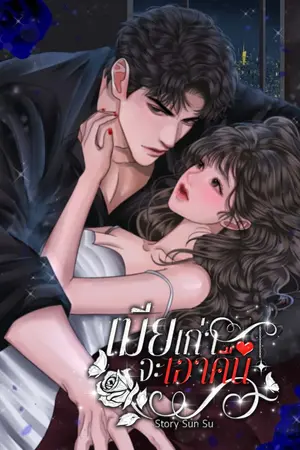 ปกนิยาย เมียเก่าจะเอาคืน