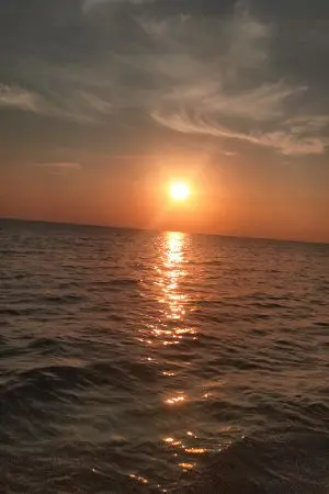 ปกนิยาย ระยะห่างของคำว่าเพื่อน