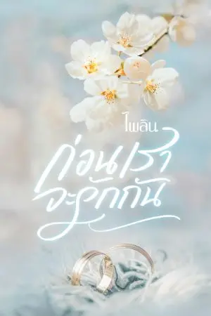 ปกนิยาย ก่อนเรา..จะรักกัน