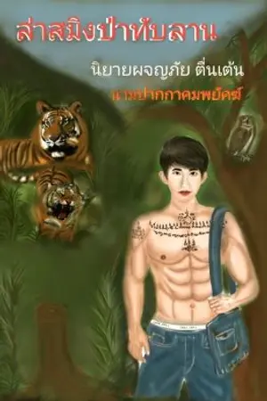 ปกนิยาย