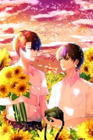 ปกนิยาย นายคือแสงของทานตะวัน