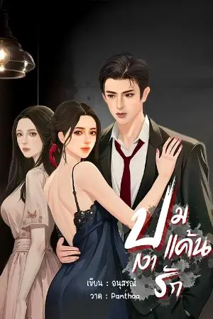 ปกนิยาย ปมแค้น  เงารัก