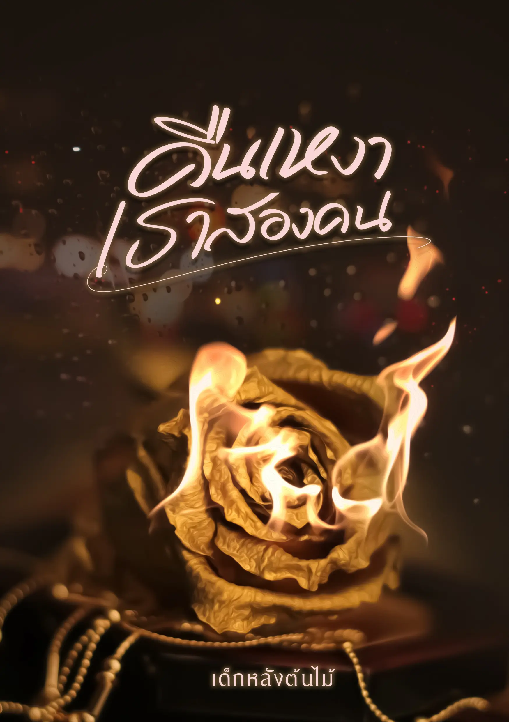 ปกนิยาย คืนเหงา เราสองคน