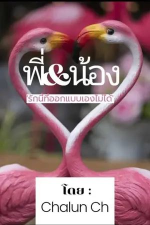 ปกนิยาย พี่น้อง (รักนี้ที่ออกแบบเองไม่ได้)