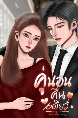ปกนิยาย คู่นอนคืนเดียว
