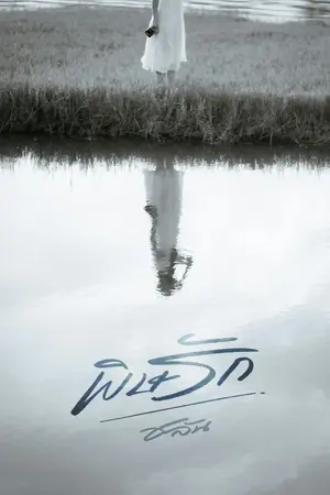 ปกนิยาย พิษรัก.
