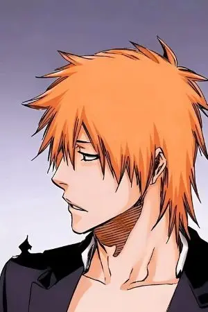 ปกนิยาย FIC Bleach  :  Shin Bleach ตัวประกอบบทพระเอก