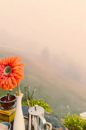 ปกนิยาย หาก(ห้าม)ใจรัก