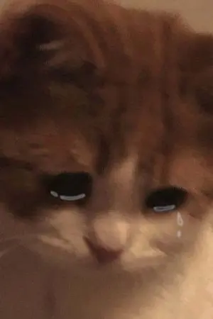 ปกนิยาย ดินแดนใหม่กับรักของอสูรหญิงผู้แข็งแกร่ง