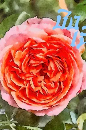 ปกนิยาย EBOOK/ชิงเฉิน