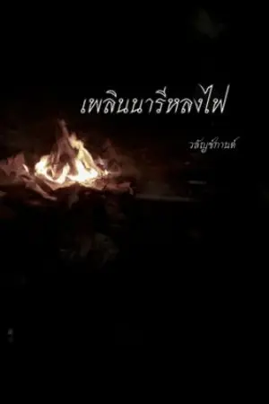 ปกนิยาย เพลินนารีหลงไฟ