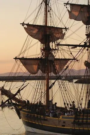 ปกนิยาย One Piece: Tears of Revival - ลิขิตพลิกโลกของนักเขียนผู้ถูกทอดทิ้ง