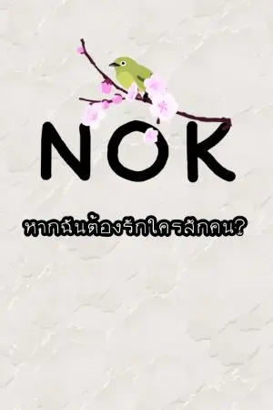ปกนิยาย N O K หากฉันต้องรักใครสักคน?