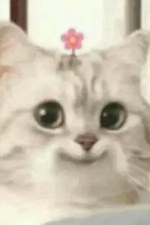 ปกนิยาย เมื่อตัวร้ายได้หวนคืน