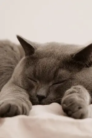 ปกนิยาย เหมือนฟ้าจะเป็นใจให้เราสองคนได้รักกัน