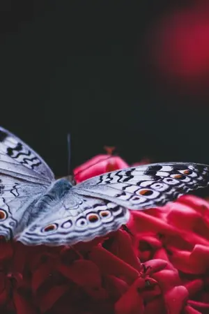 ปกนิยาย รักไม่ต้องสมบูรณ์แบบ