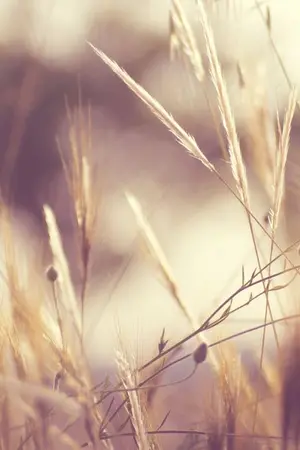 ปกนิยาย นาฬิกาของคนรอ