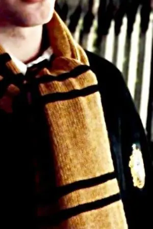 ปกนิยาย [ Fic Harry Potter ] ; Golden Boy