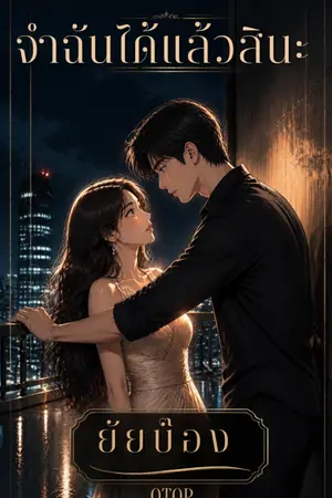 ปกนิยาย จำฉันได้แล้วสินะ ยัยบ๊อง