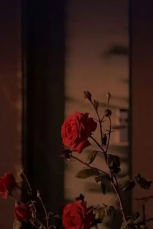 ปกนิยาย Sprunki × oc