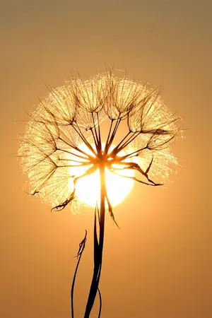 ปกนิยาย เกิดใหม่เป็นชาวสวนที่รวยที่สุดในเหอฉี