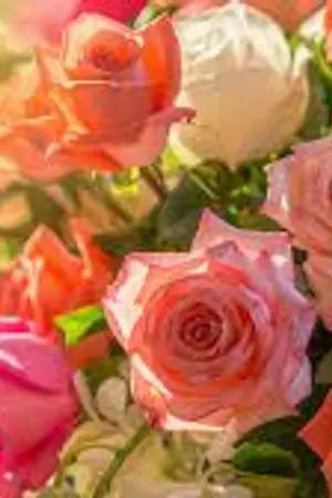 ปกนิยาย เกิดใหม่มาเปิดร้านอาหารครอบครัว