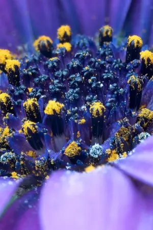 ปกนิยาย เกิดใหม่เป็นแม่ของหนูน้อยแฝดสาม