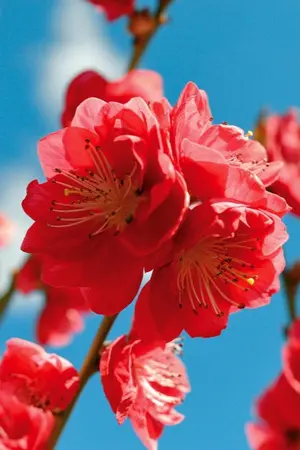 ปกนิยาย เกิดใหม่ตัวร้ายน้อยต้องพาท่านแม่หนีไปจากพ่อเลว