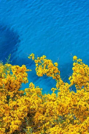 ปกนิยาย เกิดใหม่เป็นแม่ของตัวร้ายทั้งสาม