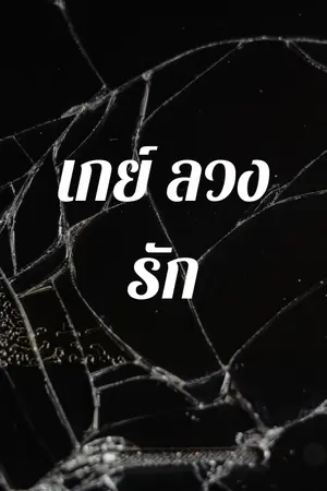 ปกนิยาย เกย์ ลวงรัก
