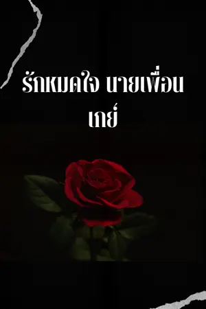 ปกนิยาย รักหมดใจ นายเพื่อนเกย์