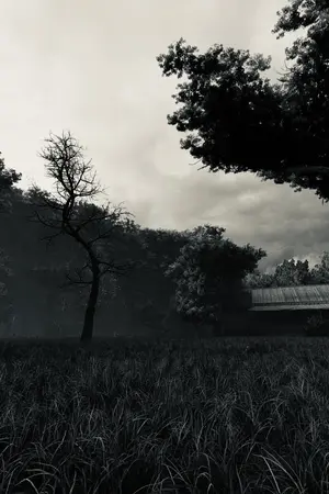 ปกนิยาย Jungle [ป่าทึบ]