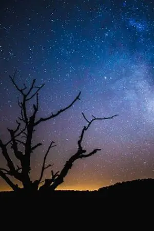 ปกนิยาย ทางผ่านดาว