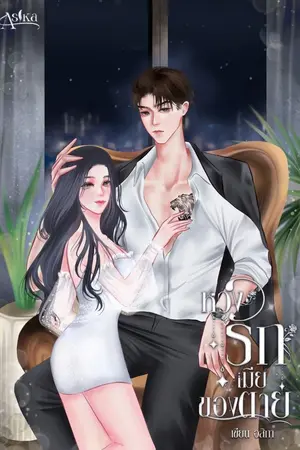 ปกนิยาย หวงรักเมียของตาย