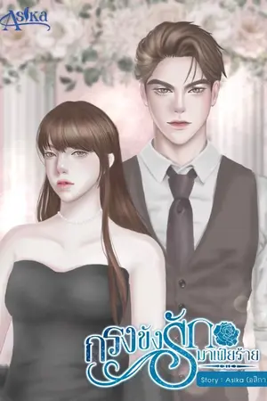 ปกนิยาย