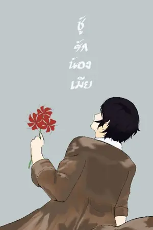 ปกนิยาย ชู้รักน้องเมีย