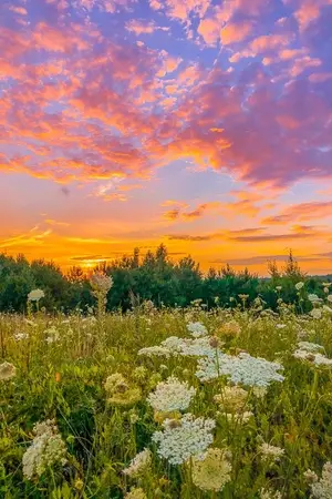 ปกนิยาย อรวิณท์