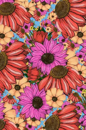 ปกนิยาย บันทึกรักเหนือกาลเวลา