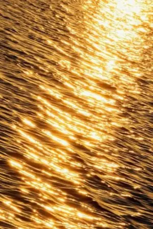 ปกนิยาย ล่าปิศาจฯ..