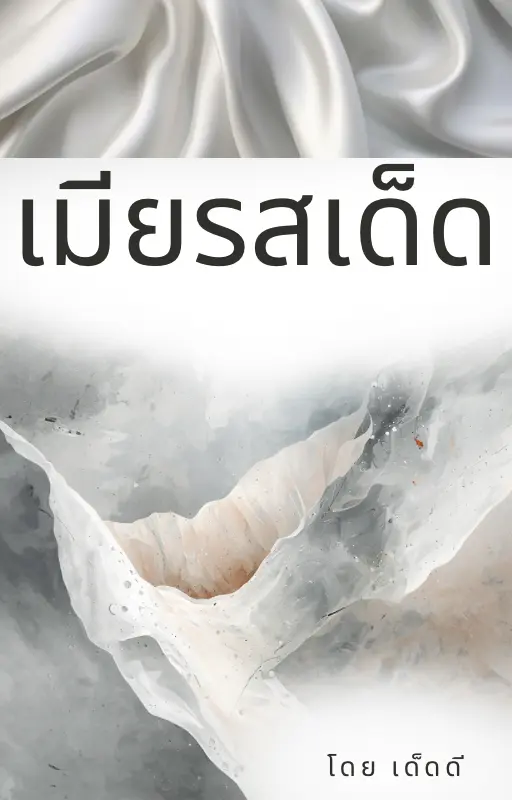 ปกนิยาย เมียรสเด็ด
