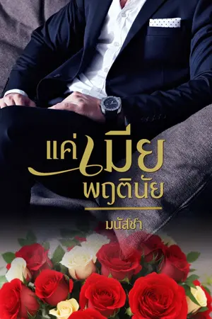 ปกนิยาย แค่เมียพฤตินัย | มี e-book