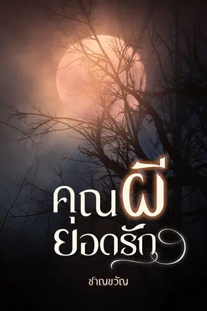 ปกนิยาย