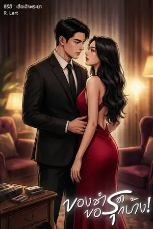 ปกนิยาย ของชำรุด...ขอรุกบ้าง [ NC / มีอีบุ๊ก ]