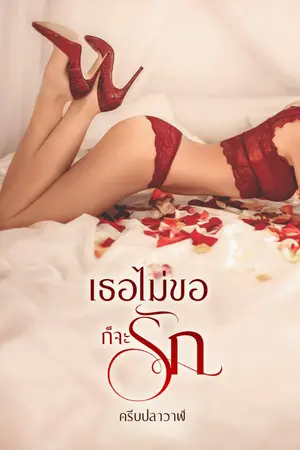 ปกนิยาย