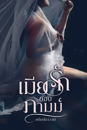 ปกนิยาย