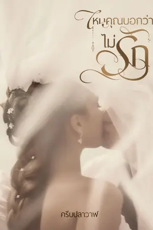 ปกนิยาย